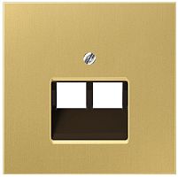 Лицевая панель Jung LS990 metal для 2-м. розетки RJ11/RJ45 латунь картинка